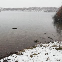 Поездки